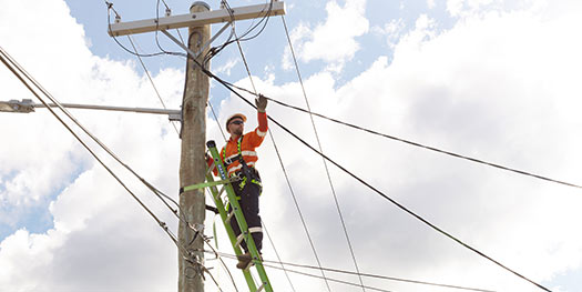 Level 2 Electrician